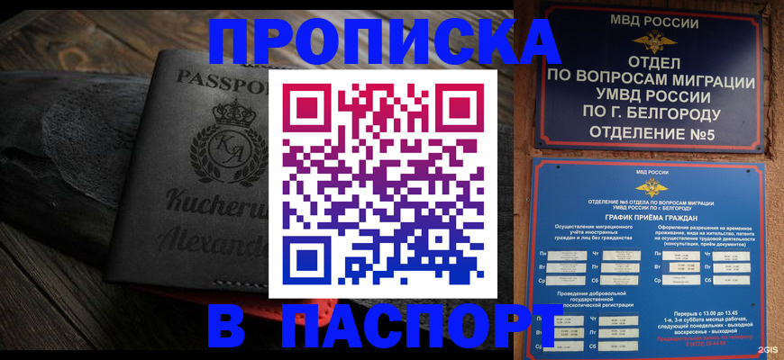 прописка 2025 в Струнино